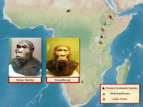 La Préhistoire dans le monde, de 2,2 millions d'années à 3300 av. J.-C. environ