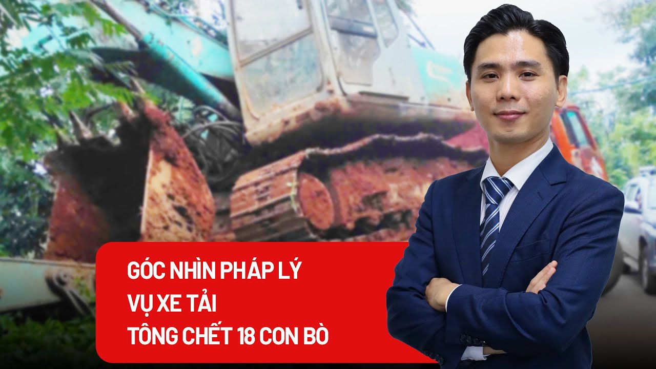 Xe tải mất phanh tông 18 con bò: Trách nhiệm pháp lý thuộc về ai?
