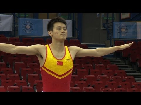 WC BIRMINGHAM 2011 - LU Chunlong (CHN)