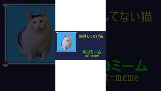 cat-meme