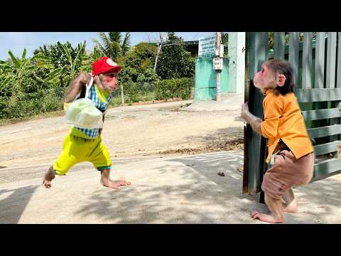 Luk anxiously ran to find Cubis! Cubis had a surprise for