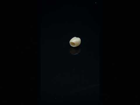 YouTube 썸네일