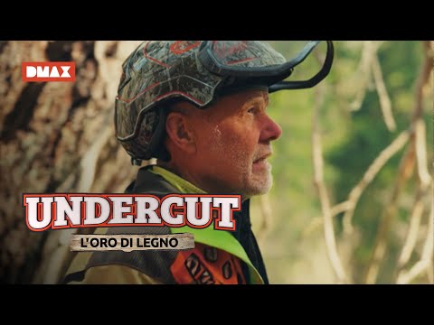 Team Giacomelli faces a very risky cull | Undercut: Legno's gold