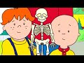 Caillou English Full Episodes Caillou S Science Project Cartoon Movie Cartoons For Kids