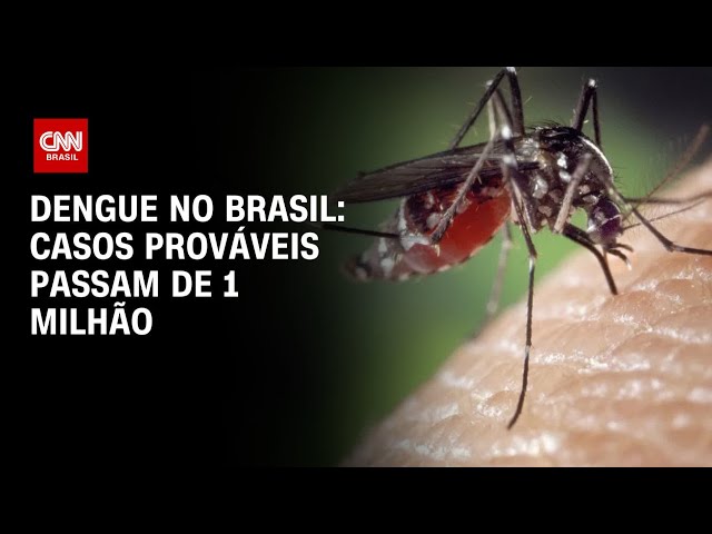 Dengue: Brasil registra mais de 1 milhão de casos prováveis em 2025 | AGORA CNN
