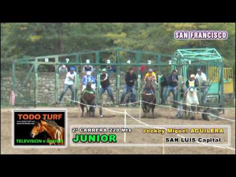 JUNIOR - san francisco 16 -4-2017