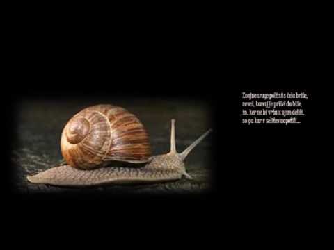 Uroš Vošnjak, Na kmetiji