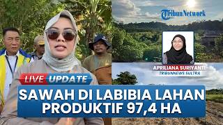 Melihat Potensi Persawahan di Labibia Kendari Seluas 97,4 Ha, Bakal Tanam Perdana Pertengahan Mei
