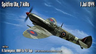 Spitfire IXe: 7 kills, Rodeo over Normandy | Ace in a Day | IL-2 WW2 Air Combat Flight Sim