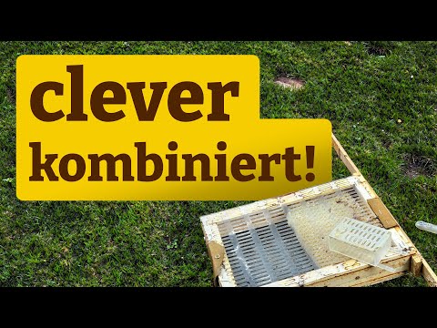 Cages and honeycomb methods cleverly combined!