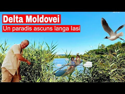 Delta Moldovei - Paradisul ascuns de langa Iasi #Delta Moldovei