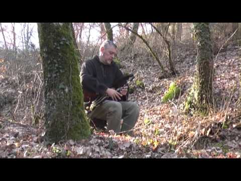 "The Forest Song" di Massimo Giuntini