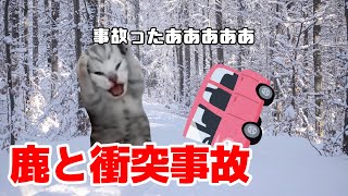 【猫ミーム】鹿と衝突事故を起こした時の話