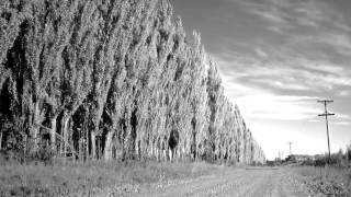 The Durutti Column - Free From All The Chaos - Subtitulos Español