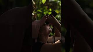 Download lagu Orangutangs in Danum Valley - Borneo | Malaysia (2023) mp3 Download lagu Orangutangs in Danum Valley - Borneo | Malaysia (2023) mp3