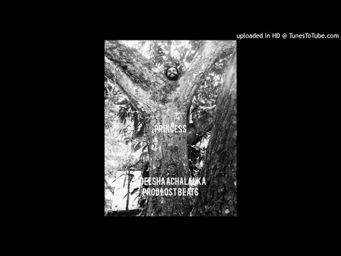Adeesha Achalanka - Princess Prod Lost Beats