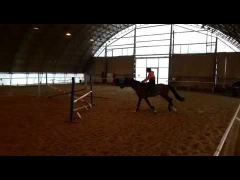 Springtraining Mikulov 10.2.2017 Cooper