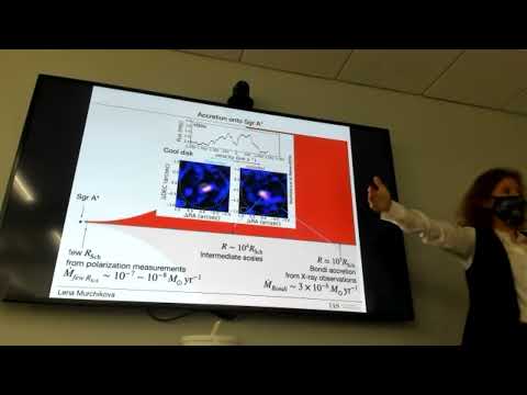 BHI Colloquium (February 7, 2022) - Lena Murchikova