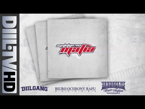 Paluch - Nasz Głos feat. Miuosh, Junior Stress (prod. Julas) (audio) [DIIL.TV]