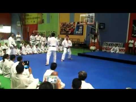 Tengku Ferry Fahlevi VS Toshihito Kokobun (World Champion JKA - WKF)