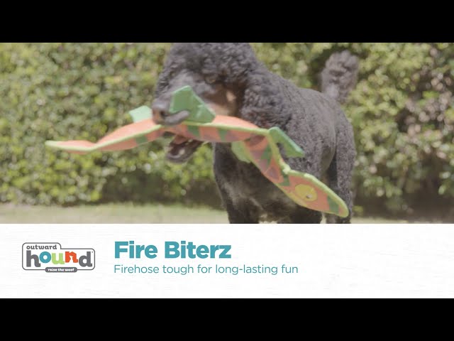 Vídeo relacionado con Outward Hound 2553 - Lagartija Juguete de Perro Fire Biterz, 3 Pito, rojo