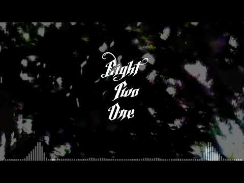 EIGHT TWO ONE // UNDER SIDE 821 // REBAJADA