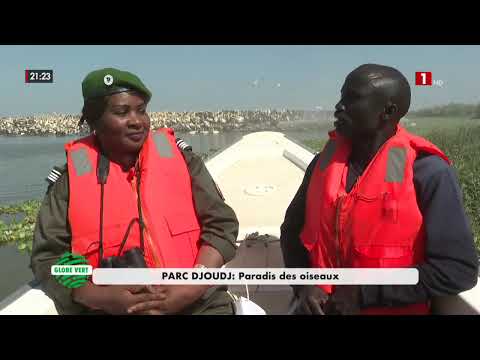 GLOBE VERT - LUNDI 02 FÉVRIER 2026