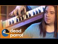 The Empty Room Song - The Matt Berry Project | Snuff Box | Dead Parrot