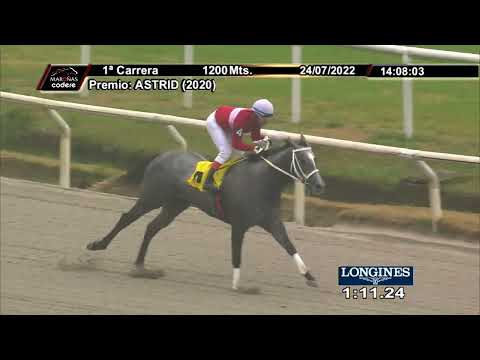 220724 c01 WIRED STORM