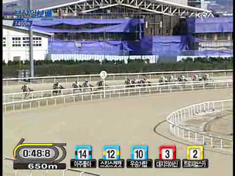 2010 Busan Ilbo Cup (L) - Smart As Me