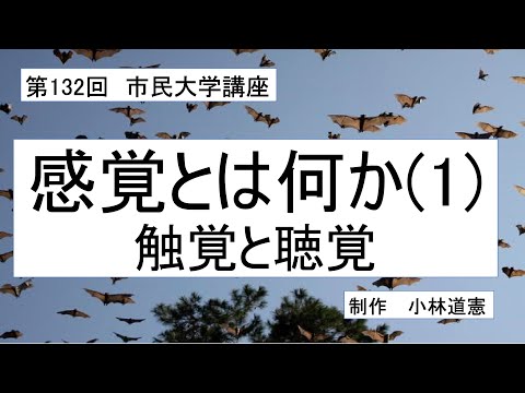 地域科学課程 感覚とは何か（１）ー 触覚と聴覚