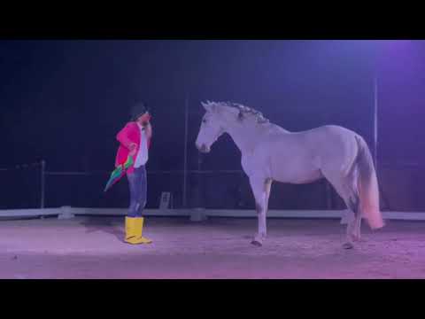 DREYMIR dream of freedom 