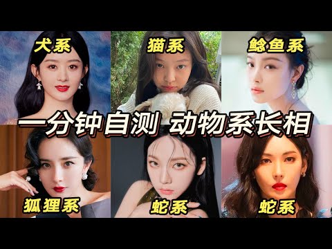 貓眼面相