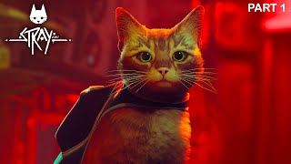 CAT SURVIVAL | Stray Gameplay Part 1