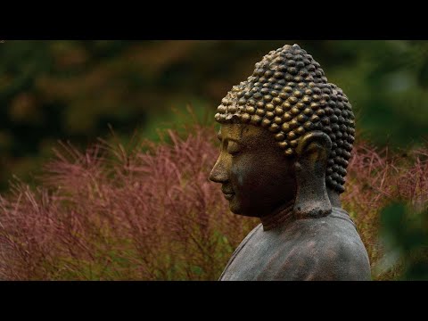 MN 10 Satipatthana Sutta with Delson Armstrong