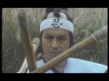 Wu Tang Collection Ninja Tiger 2