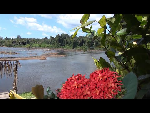 OLLY'S TOURS  [Ontdek het mooie Binnenland van Suriname]