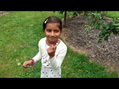 Apple  pickeing today I m so happy Nelson  new  Zealand