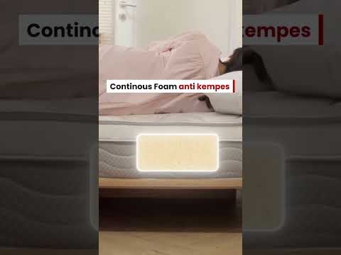 Katalog