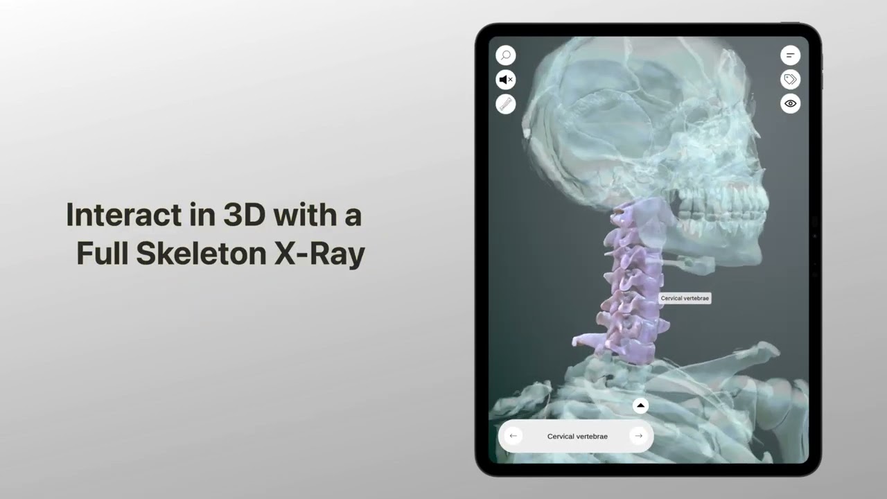 3D Osteology App Video