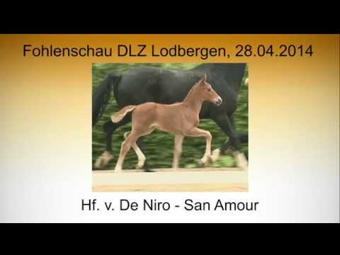 Hf v De Niro x San Amour