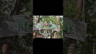 FALMOUTH JAMAICAN #jamaica #islandlife #travel #wonderoftheseas #royalcaribbean