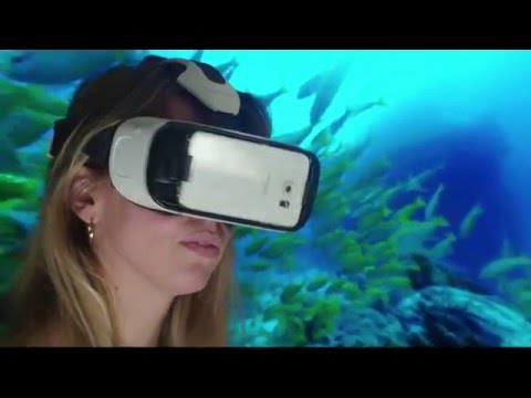Attenborough - Customer Success Story