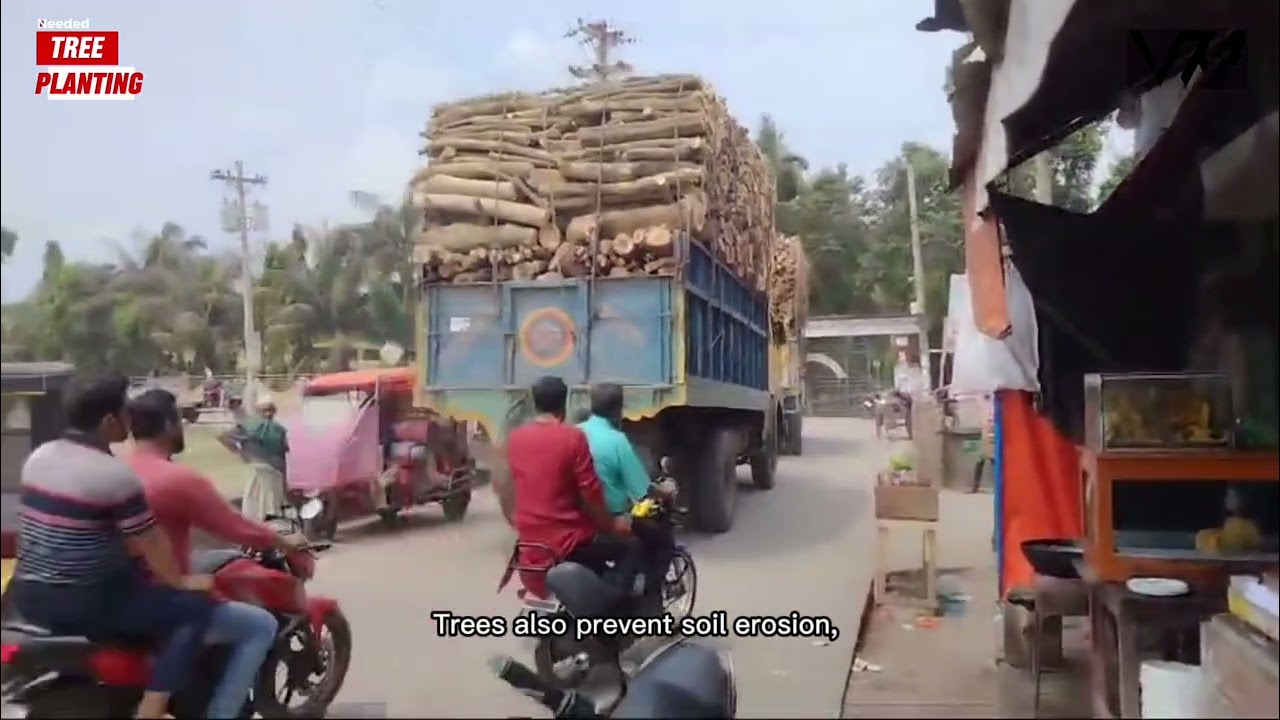 Pirojpur Faces Severe Deforestation: Tree Planting Urgently Needed