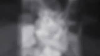 Download lagu Vivavideo by:i love dogs mp3