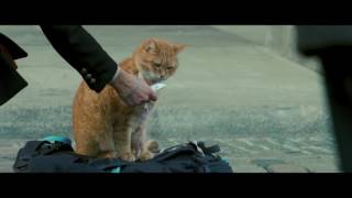 A Street Cat Named Bob - Meeting Bob Featurette - At Cinemas November 4
