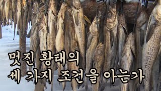 따뜻해진 온도로 볼품 없어진 황태 / YTN 사이언스