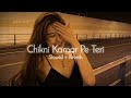 Chikni Kamar Pe Teri Mera Dil Fisal Gaya [ Slowed & Reverb ] Rowdy Rathore | Dhadhang Dhang Lofi