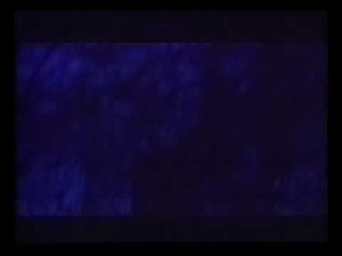 The Moment We've All Been Waiting For Part 1