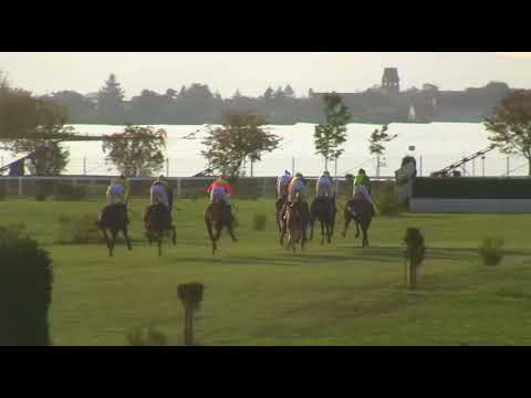 8 dostih Dostihy Brno 30.9.2017